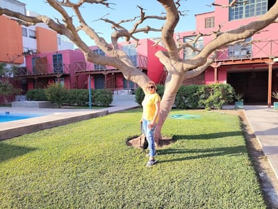 Casa de Playa Cerro Azul Cañete. AT:182 m2. US$ 150,000.-