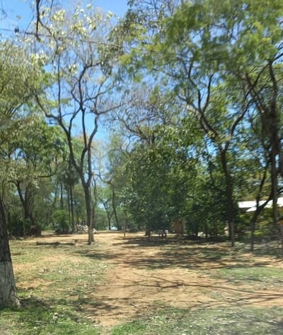 vendo Hermoso Lote en CIERVO KUA - San Bernardino