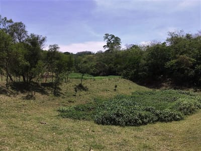 VENTA DE TERRENO DE 14 HAS Y CON HERMOSA VISTAS