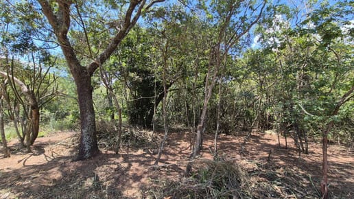 TERRENO-VENTA-SAN BERNARDINO-CORDILLERA