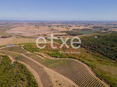 Imperdible Chacra en Venta en Las Sierras