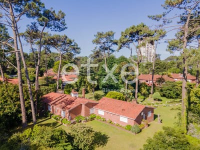 Casa en Venta Enorme Terreno Cantegril Punta del Este