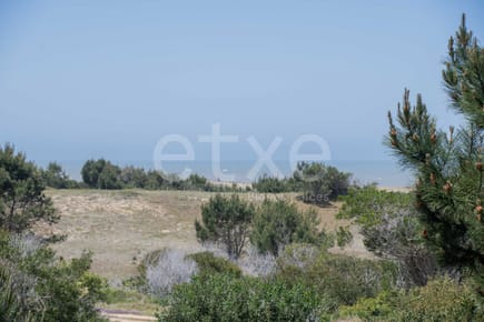 Terreno en Venta San Anotnio Rocha