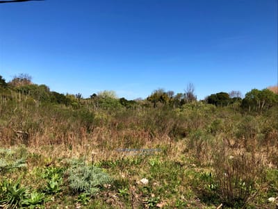 Terreno en Lezica.