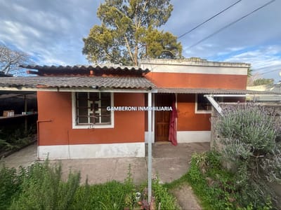 Casa en alquiler en Colón con muy buen terreno.