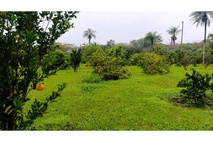 Terreno en venta de 11 hectáreas + 9.000 m² en Eusebio Ayala 