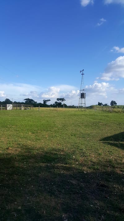 83 HAS EN VENTA EN PAURITO