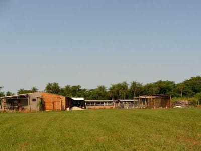 VENDO PROPIEDAD RURAL EN VILLETA! GRANJA DE 8 HAS