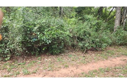 Terreno - Venta - Ypacaraí, Central, Paraguay