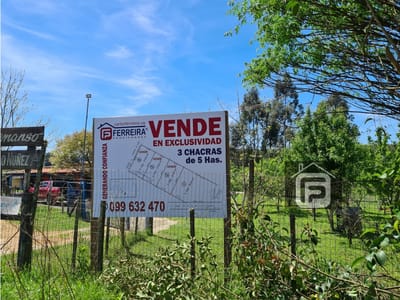 VENDE 3 CHÁCRAS DE 5 HECTÁREAS CADA UNA, POR RUTA 27- RIVERA.
