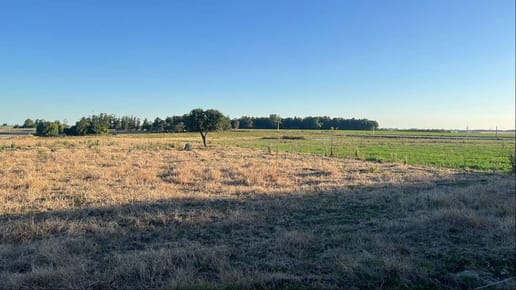 Campo Agrícola-Ganadero de 10,5 Ha sobre Ruta 5 con excelente logística