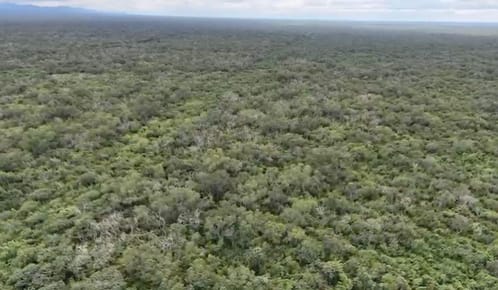 En Venta 3.137 Hectáreas De Monte (charagua) Cerca A Colonias Menonitas