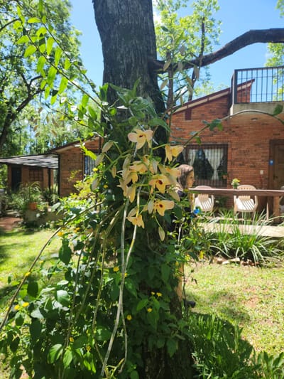 VENDO CASA EN SAN BERNARDINO 