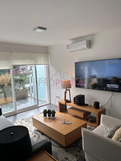 Peninsula , alquiler de temporada  y venta 1 dormitorio y medio , capacidad 3 personas
