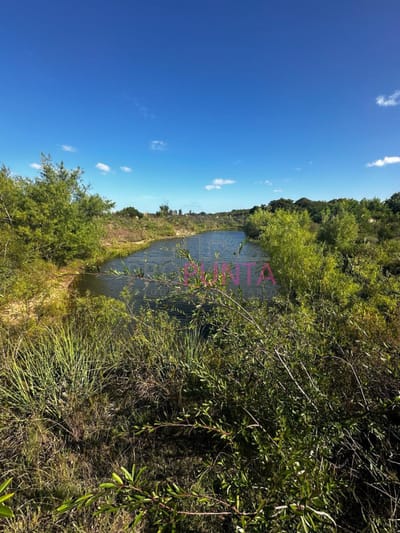 Campo en Venta 20 hás