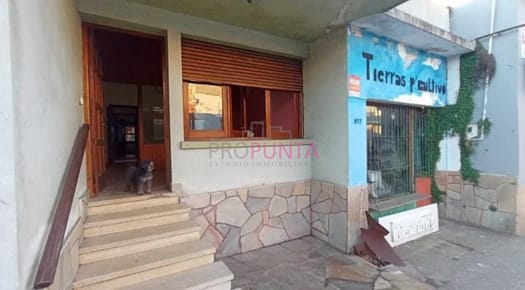 Casa+Local+Apartamento independiente