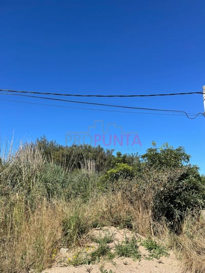 Terreno en venta