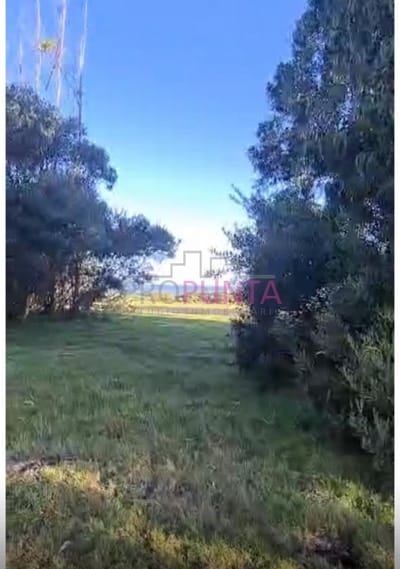 Oprtunidad de terreno en Las Garzas con 2290 m2