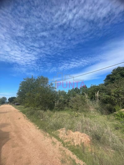 Terreno de 450 mts