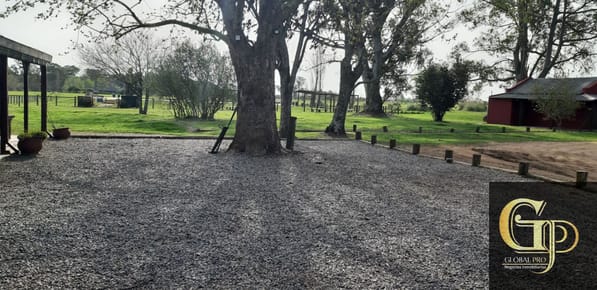 Últimos lotes en venta en Carmelo