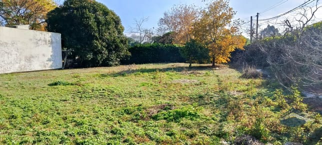 Terreno en venta de 700m2 ubicado en Malvin Norte