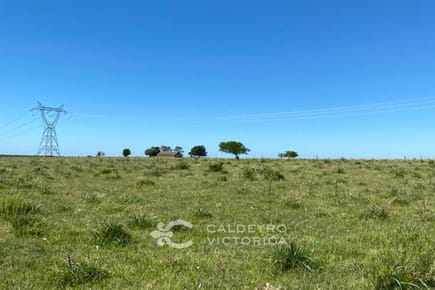 Campo en Tacuarembó ref. 9132