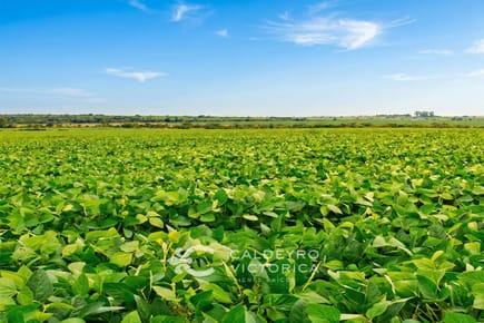 Campo en Cerro Largo 5327, 2.503 Ha ganadero, agrícola, arroceras, con represa