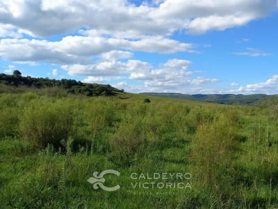 Campo en venta en Rivera ref. 7945