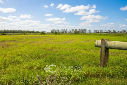 Campo Ganadero-Agrícola en Salto 10083, 674 Ha