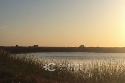 Campo en venta en San José 9569, de 36 hectáreas con costa al Río de la Plata