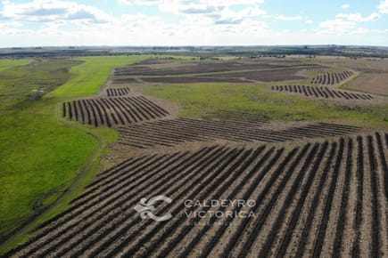 Campo en venta en Río Negro 6528, 1.927 hectáreas agrícola ganaderas