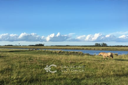 Chacra en Barra de Valizas 5272, Rocha, 13,2 hectáreas con costa sobre el Arroyo Valizas