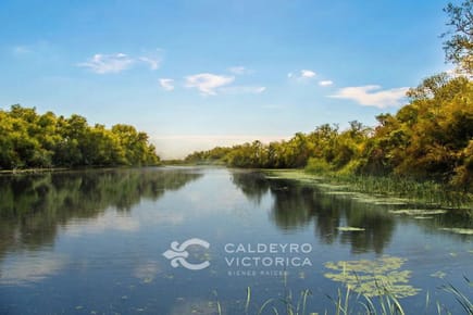 Campo ganadero arrocero en Rocha 9734