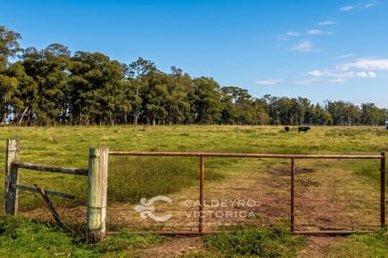 Campo en venta en Salto 7704, ganadero, agrícola, de 2.244 hectáreas