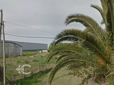 Terreno con Aptitud Logística Ref. 4422