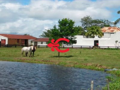 Chacra en Cerro Largo Ref. 1736