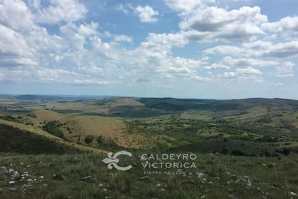 Campo en Lavalleja ref. 5325