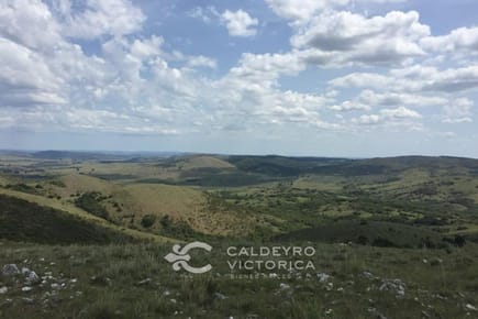 Campo en Maldonado y Lavalleja ref. 7468