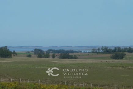 Campo en venta en Rocha ref. 5130