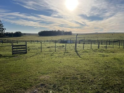 CAMPO EN ROCHA