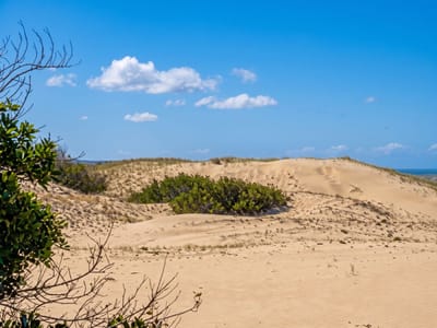 CHACRA CON COSTA SOBRE EL ATLÁNTICO