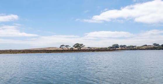 CHACRA EN BARRA DE VALIZAS