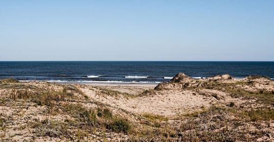 CAMPO CON COSTA OCEÁNICA