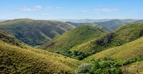 COTO DE CAZA EN TREINTA Y TRES