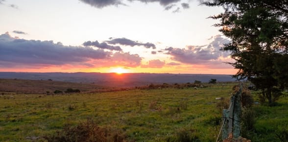 CAMPO EN CERRO LARGO