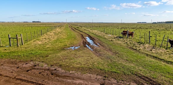 CAMPO CON RENTA EN SALTO