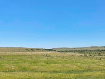 CAMPO EN SALTO