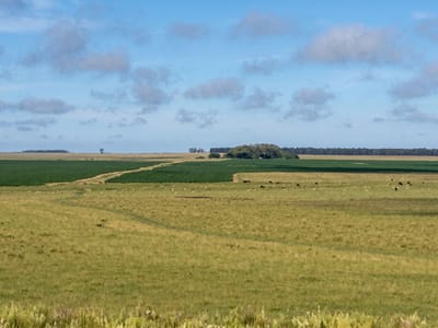 CAMPO EN SALTO