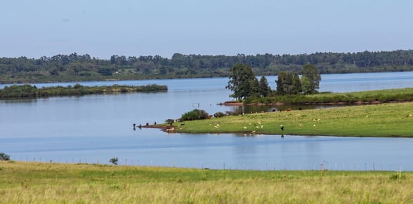 CAMPO EN SALTO
