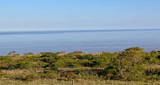 CHACRA EN ARTILLEROS - COLONIA